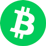 Bitcoin cash-logo