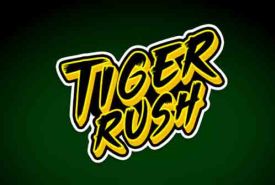 Tiger Rush review